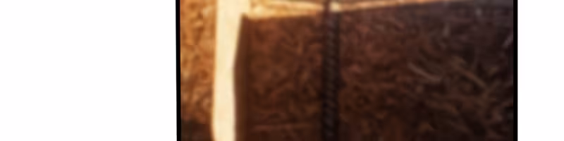 Página do Capítulo 02