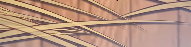 Página do Capítulo 02