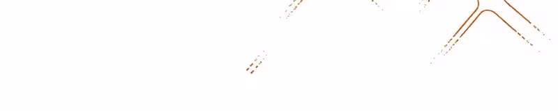 Página do Capítulo 13