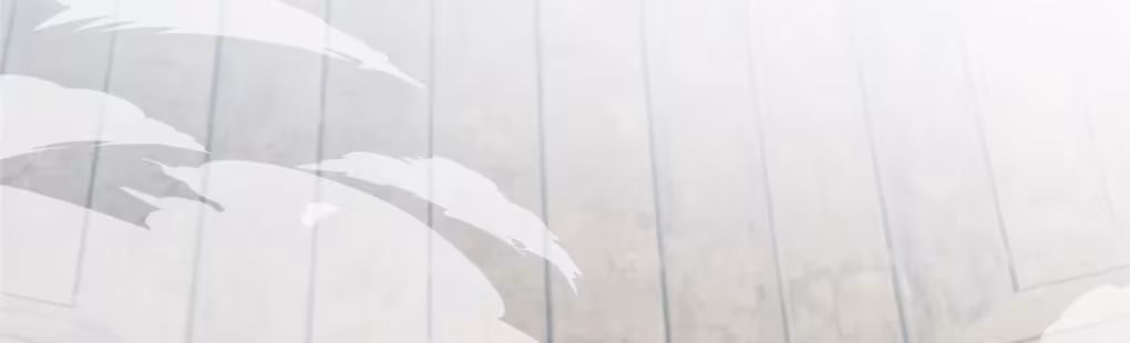 Página do Capítulo 63