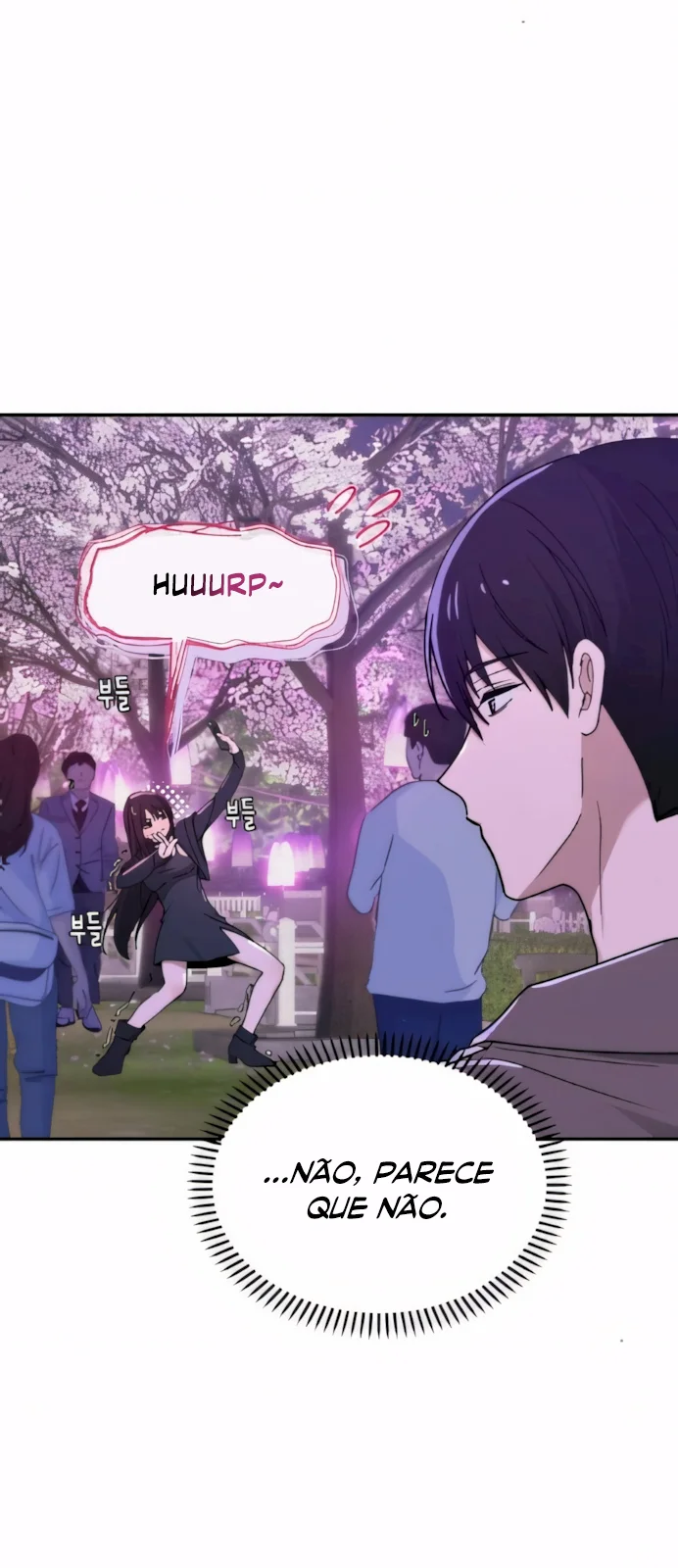 Página do Capítulo 11