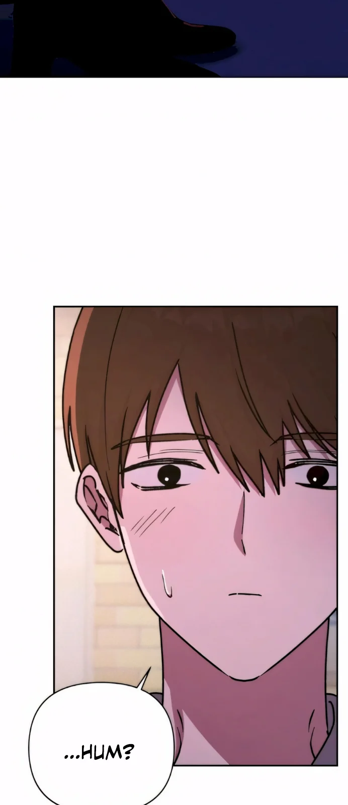 Página do Capítulo 13