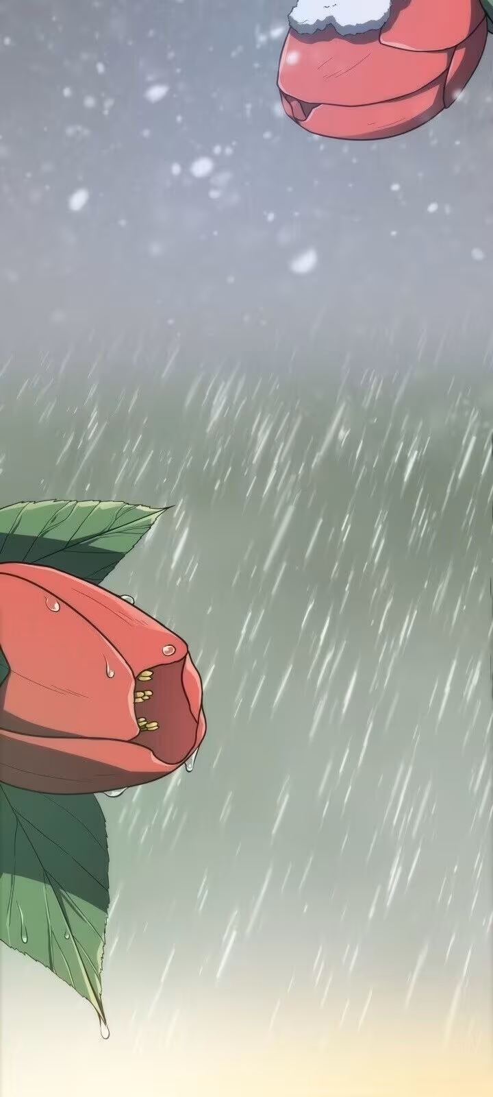 Página do Capítulo 05