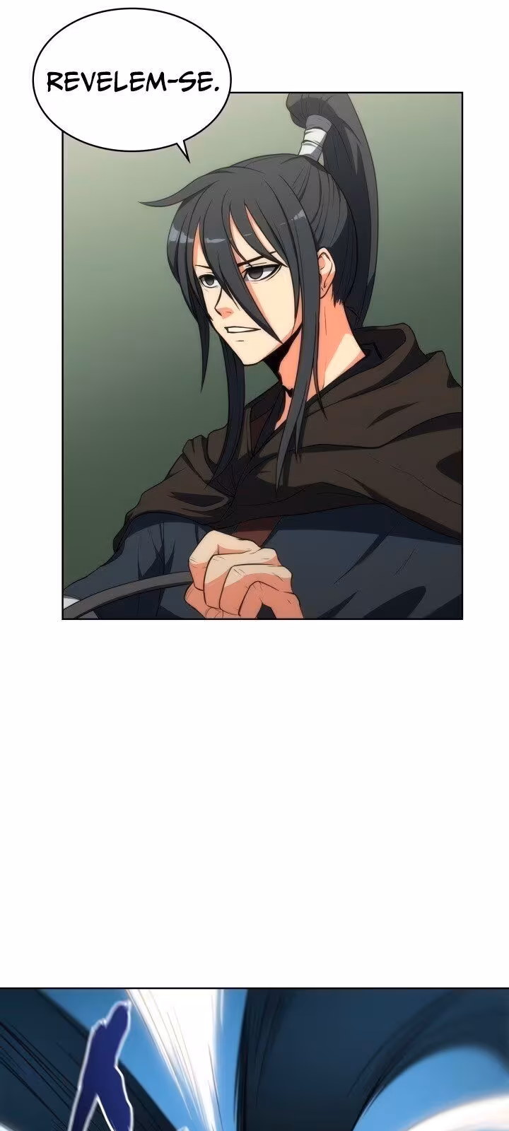 Página do Capítulo 11