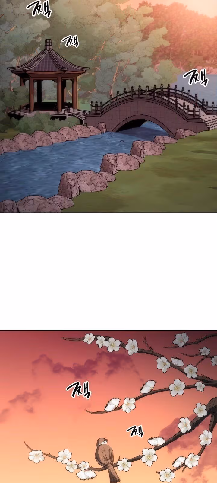 Página do Capítulo 11