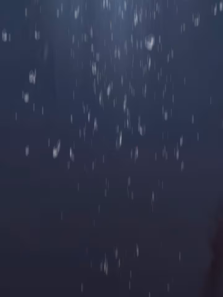 Página do Capítulo 29