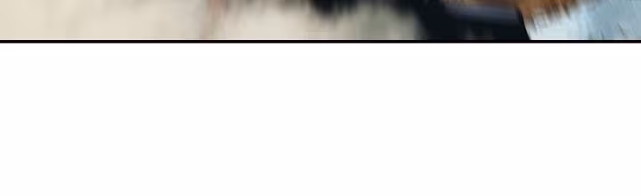 Página do Capítulo 115