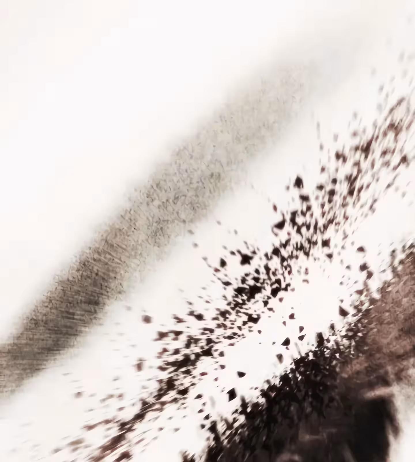 Página do Capítulo 205