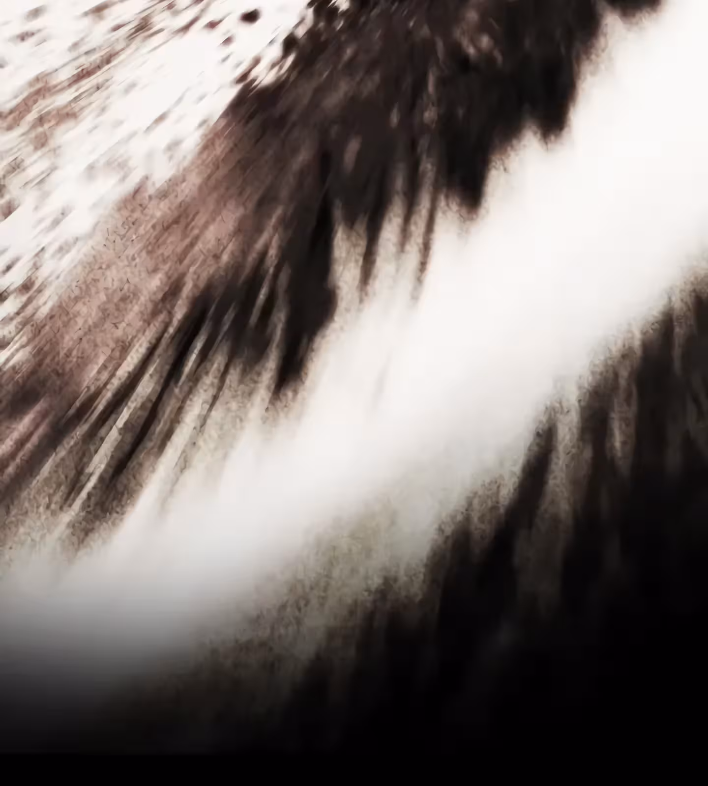 Página do Capítulo 205