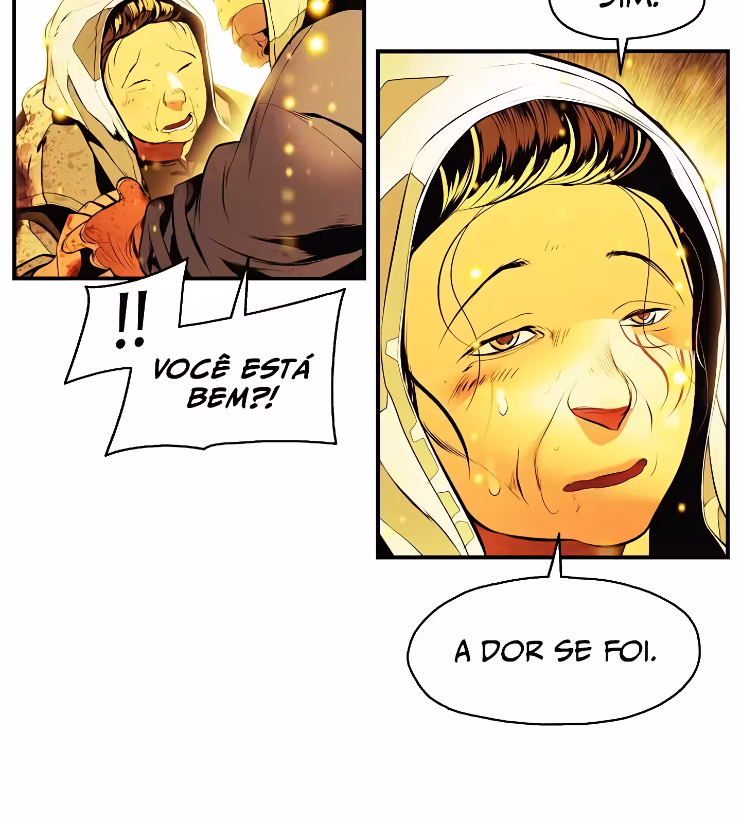 Página do Capítulo 208