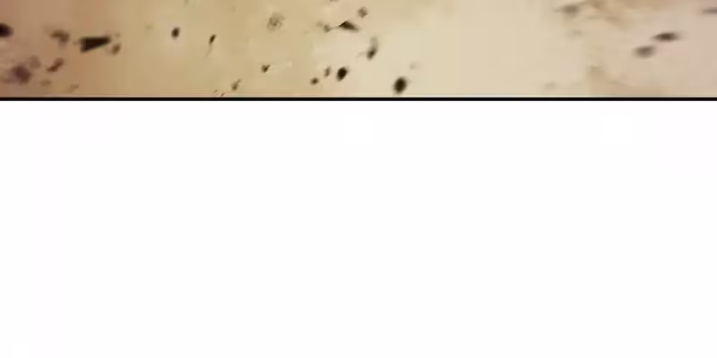 Página do Capítulo 213