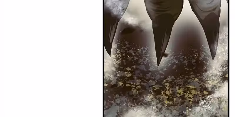 Página do Capítulo 215