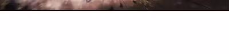 Página do Capítulo 224