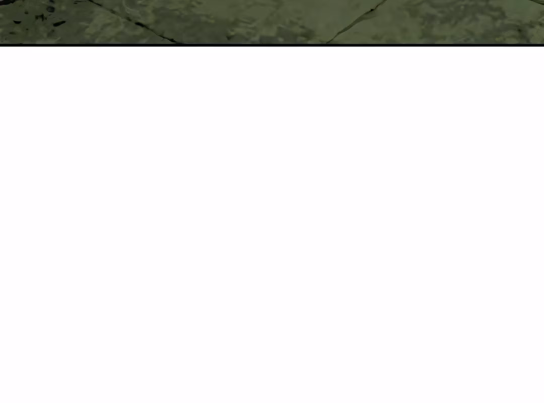 Página do Capítulo 228