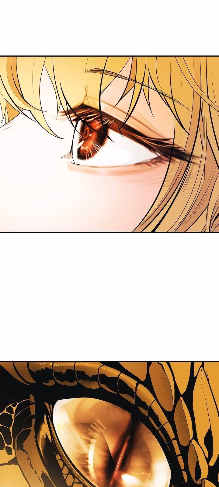 Página do Capítulo 67