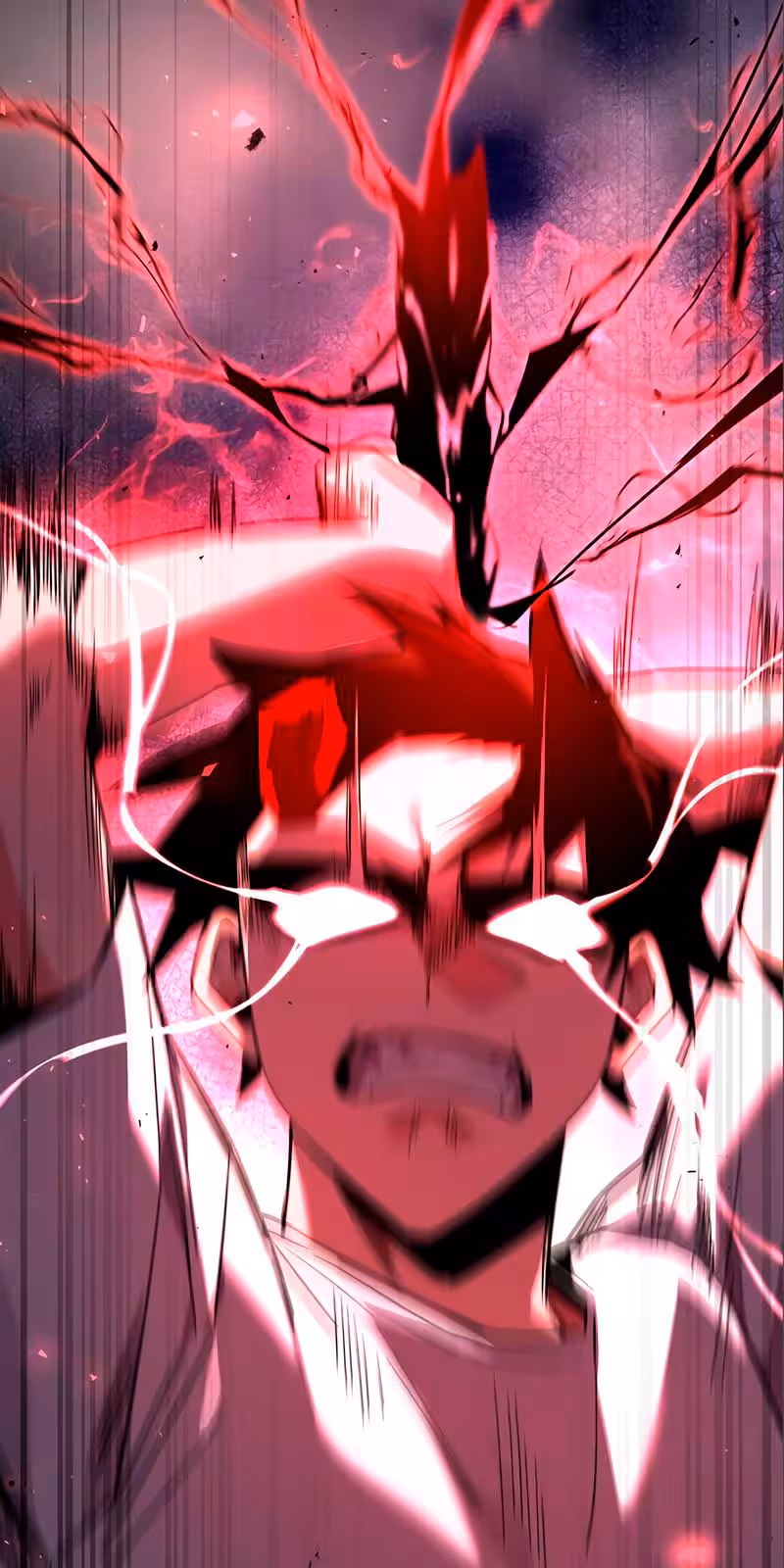 Página do Capítulo 17