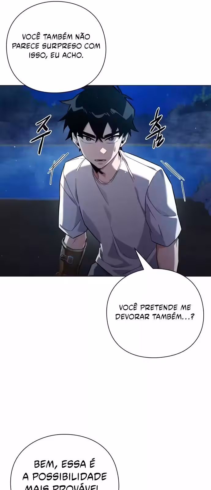 Página do Capítulo 11