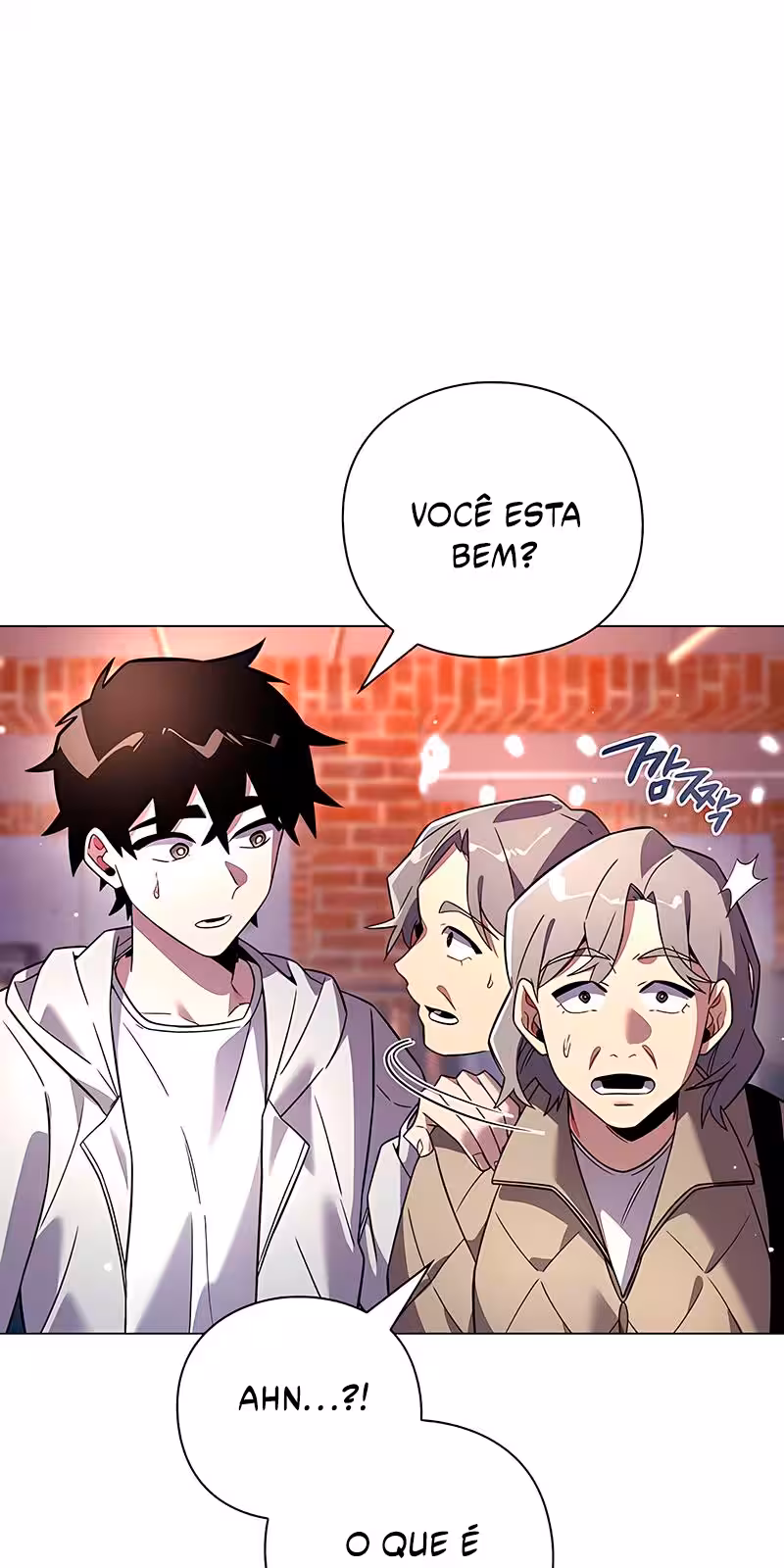 Página do Capítulo 20