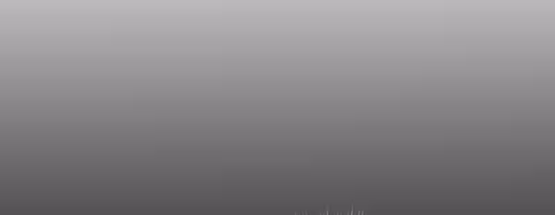 Página do Capítulo 40