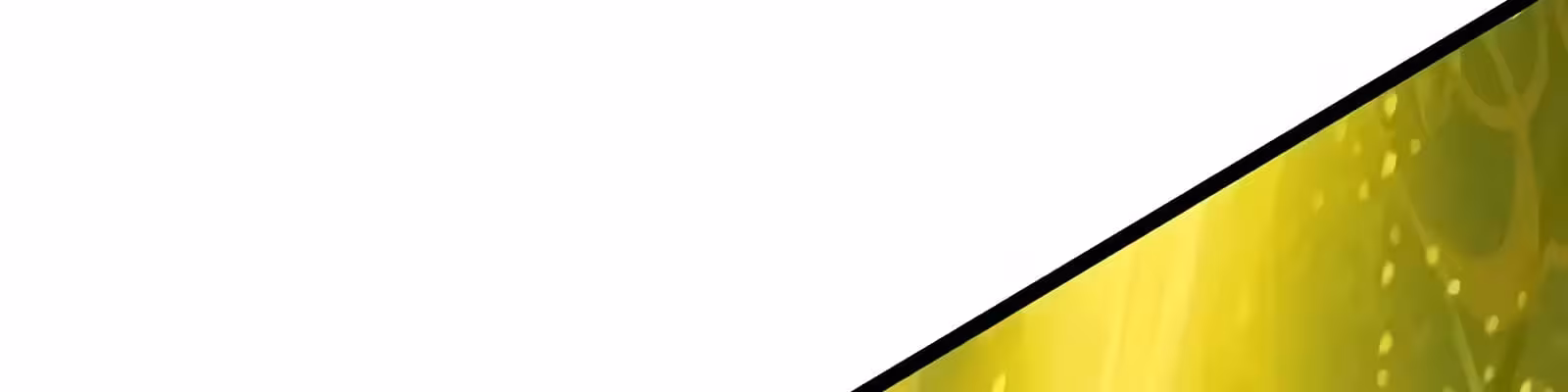 Página do Capítulo 47