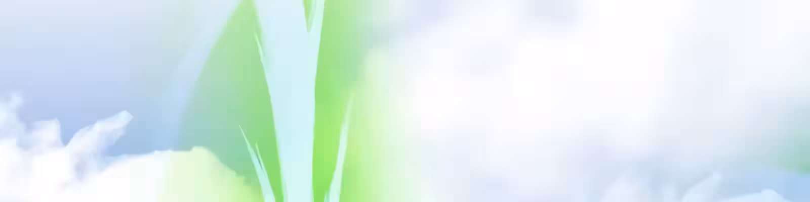 Página do Capítulo 49