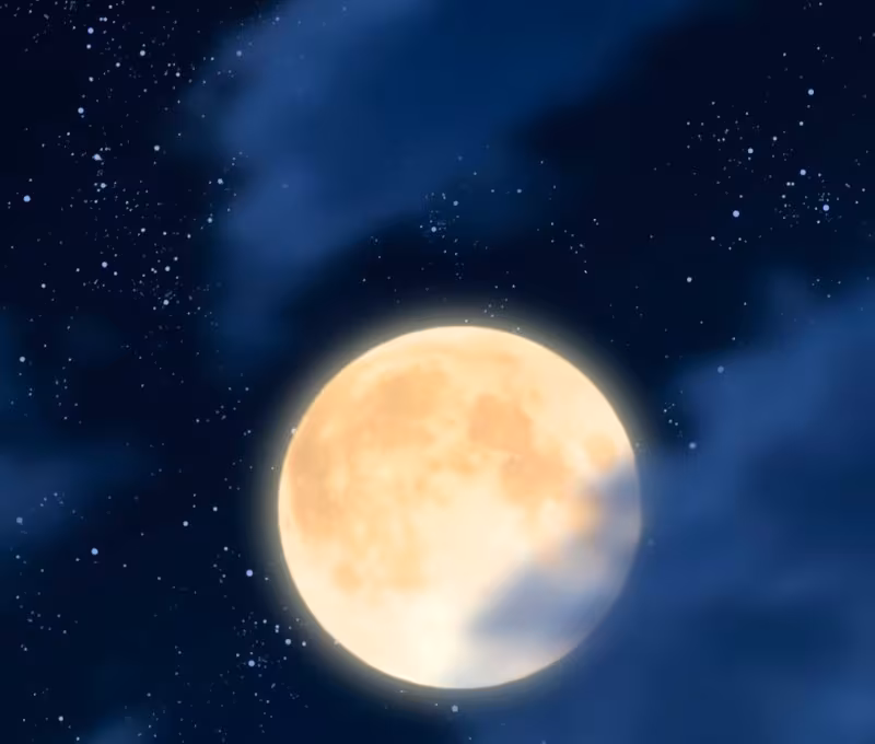 Página do Capítulo 67