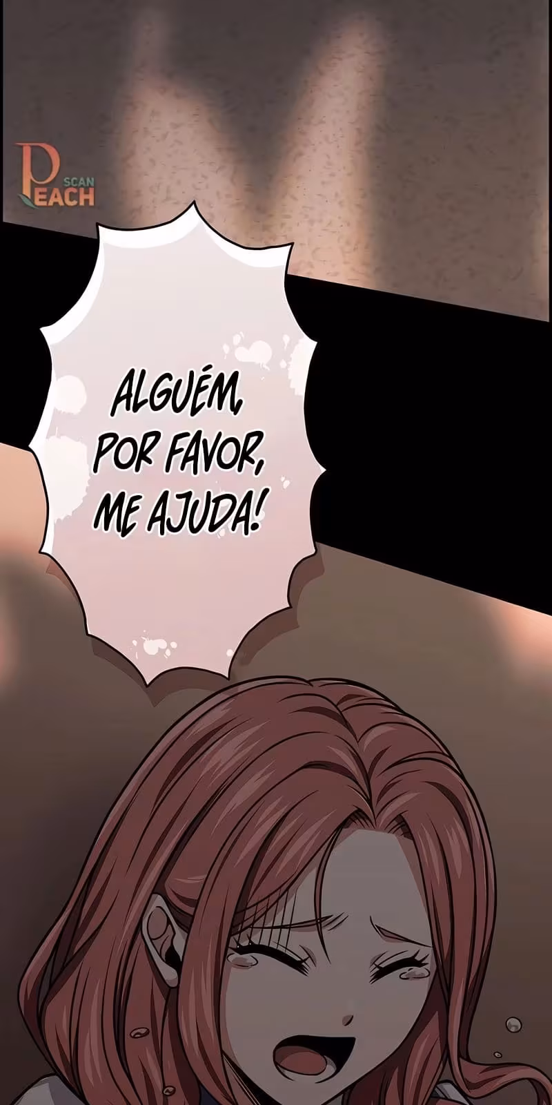 Página do Capítulo 15