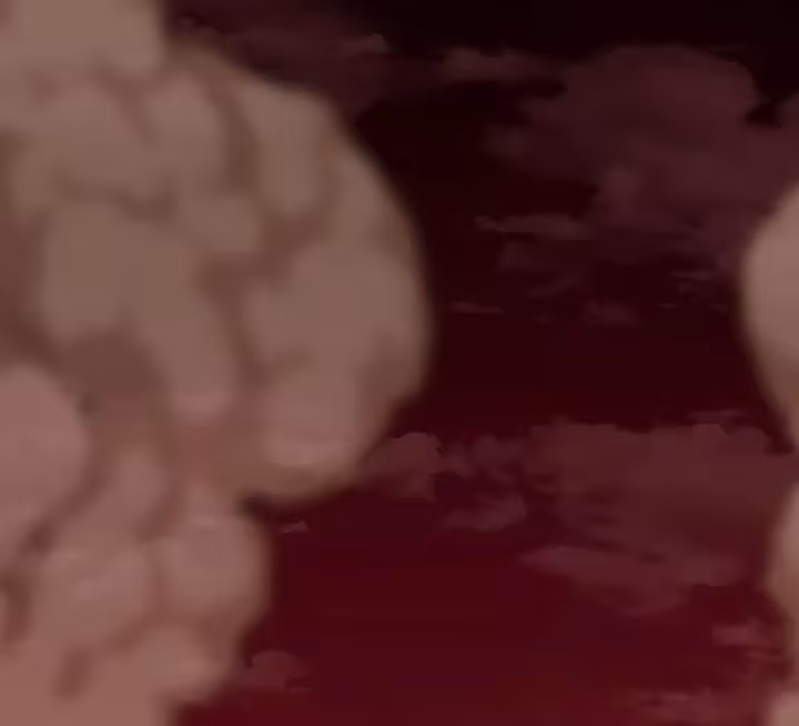 Página do Capítulo 26