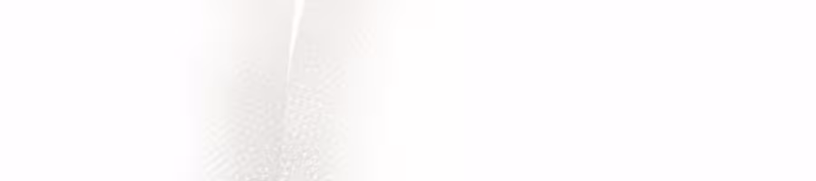 Página do Capítulo 22