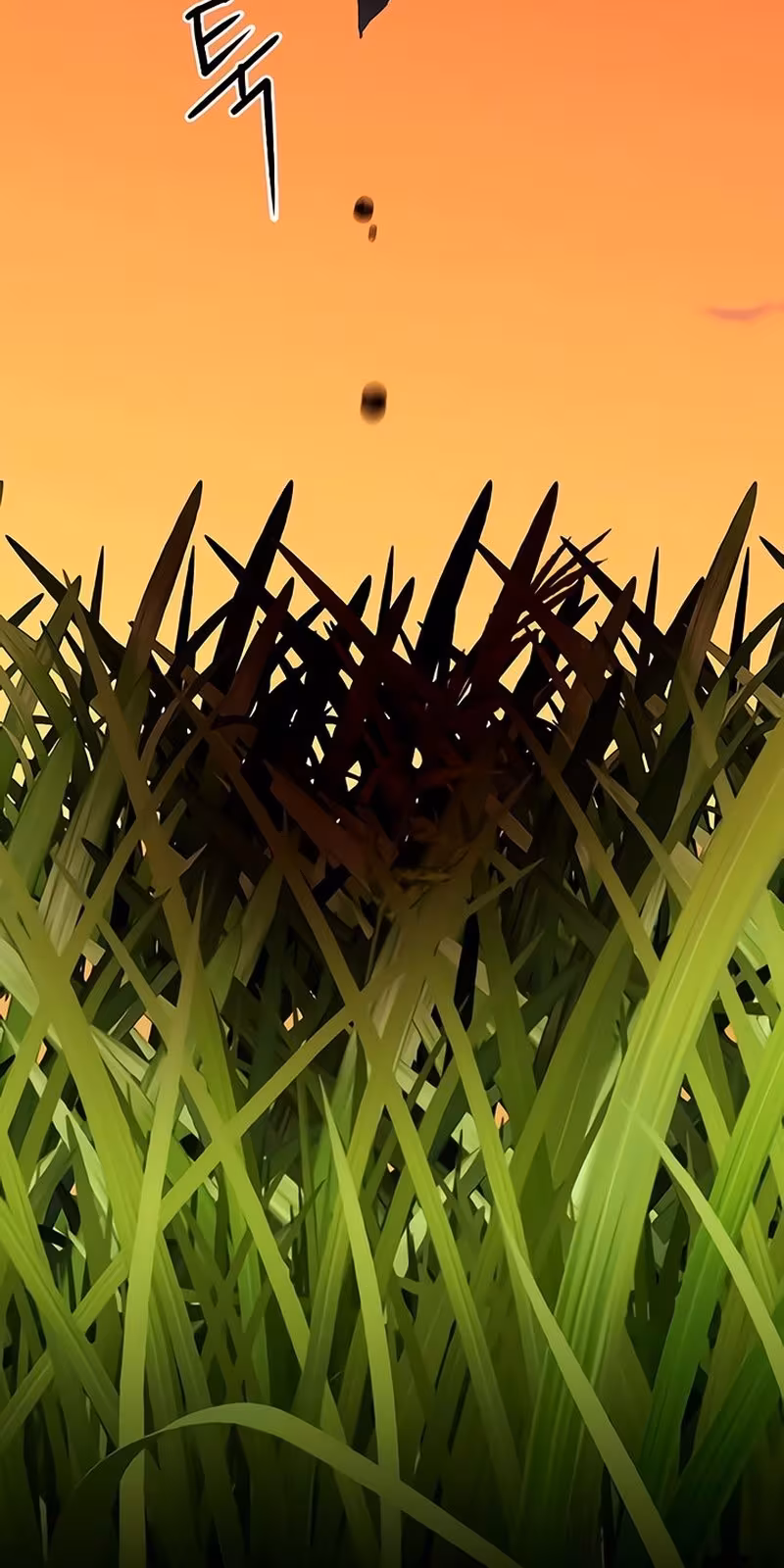 Página do Capítulo 63