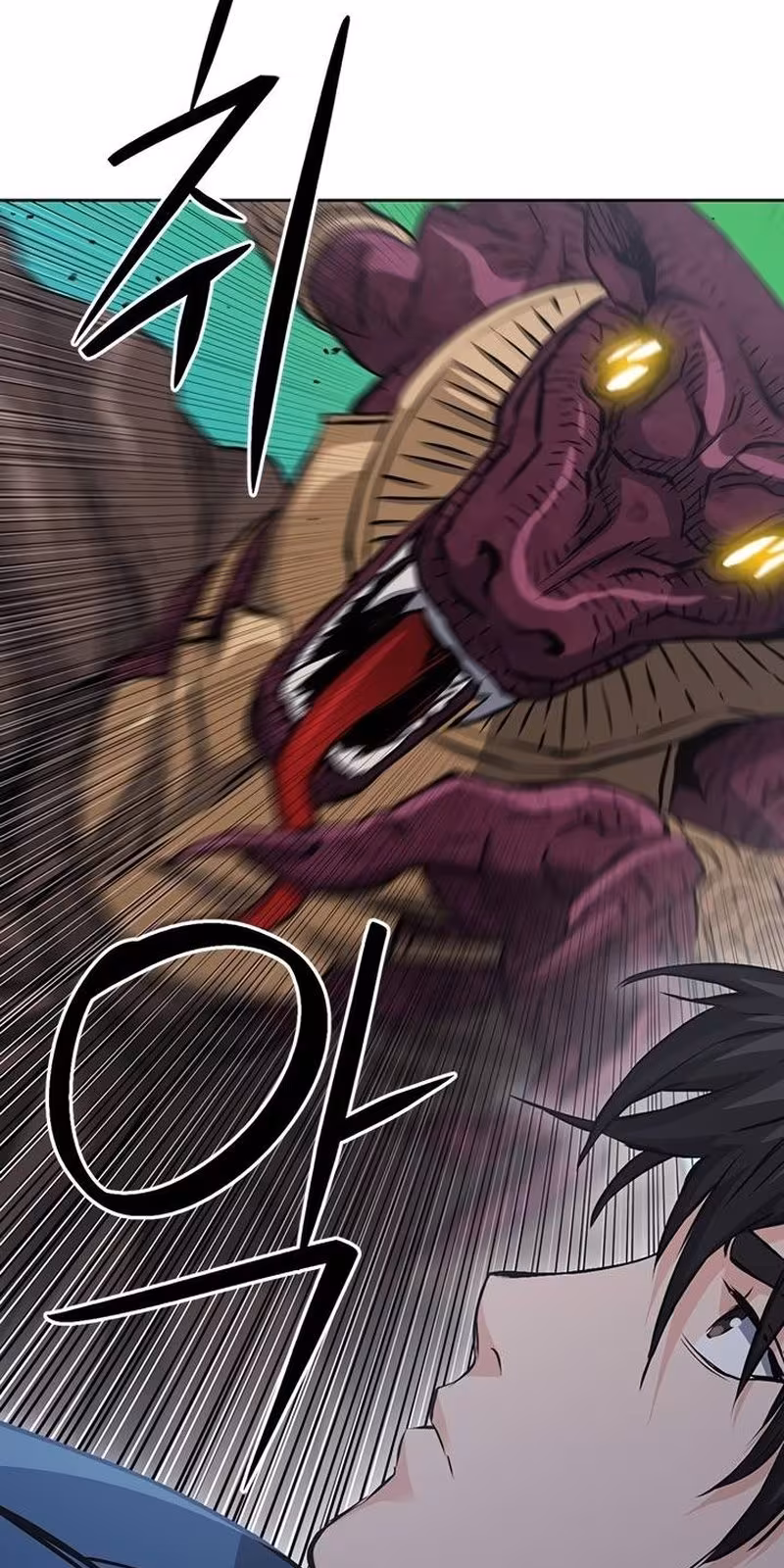 Página do Capítulo 96