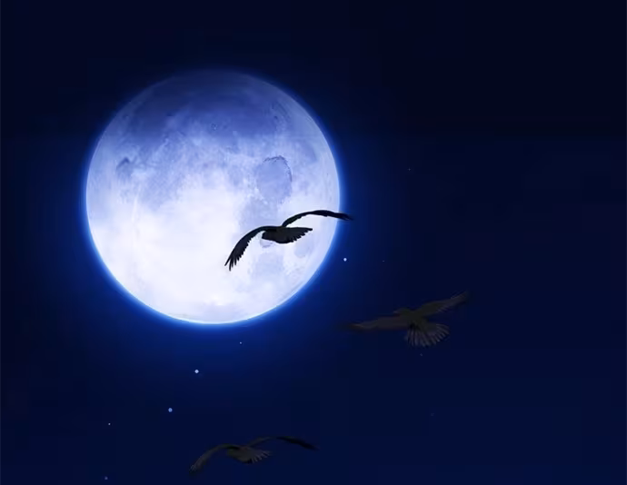 Página do Capítulo 126