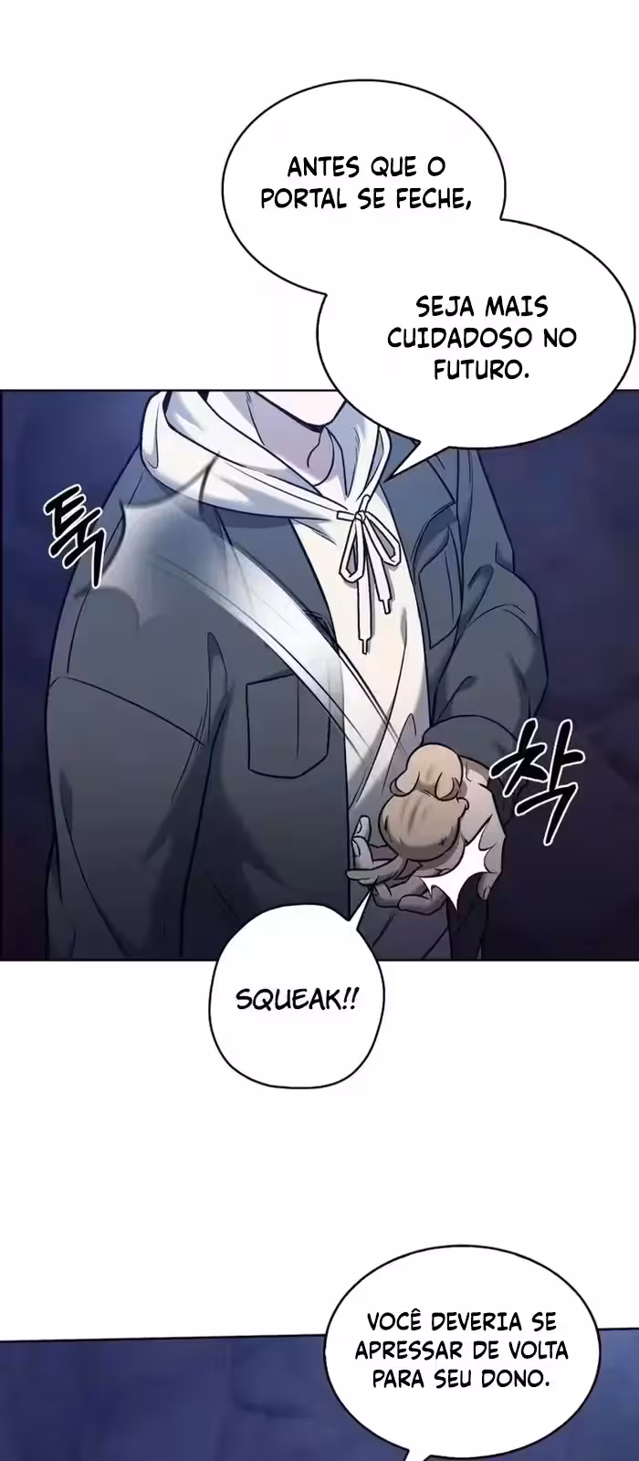 Página do Capítulo 11