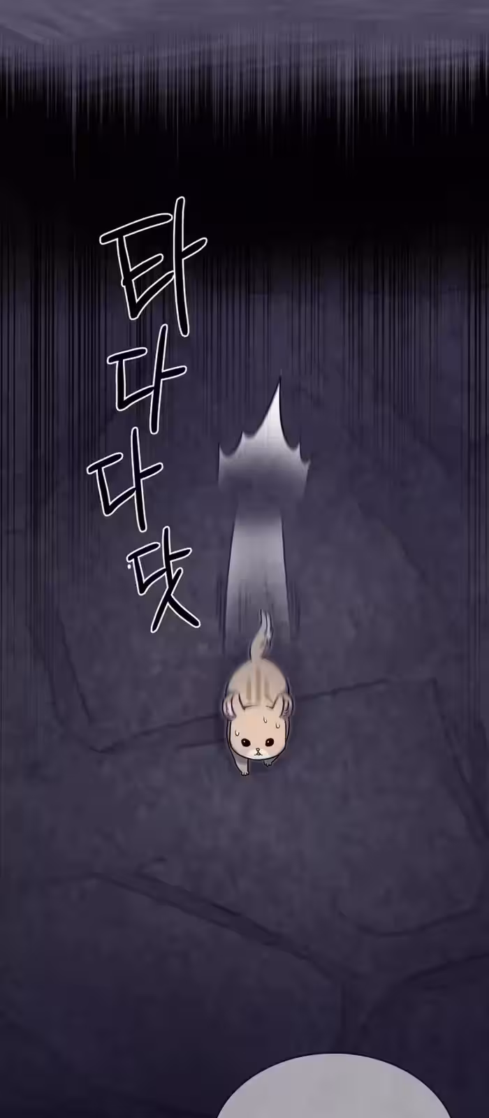 Página do Capítulo 11