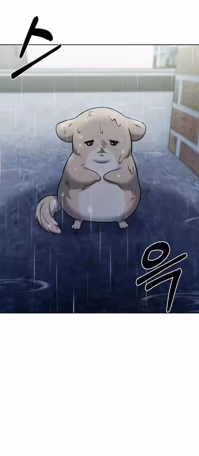 Página do Capítulo 11