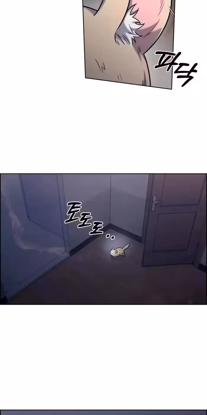 Página do Capítulo 15