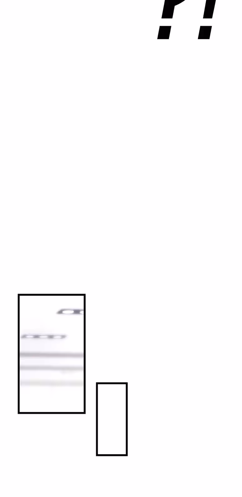 Página do Capítulo 08