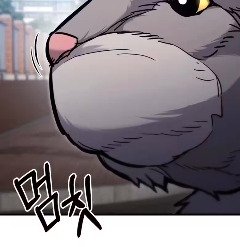 Página do Capítulo 09