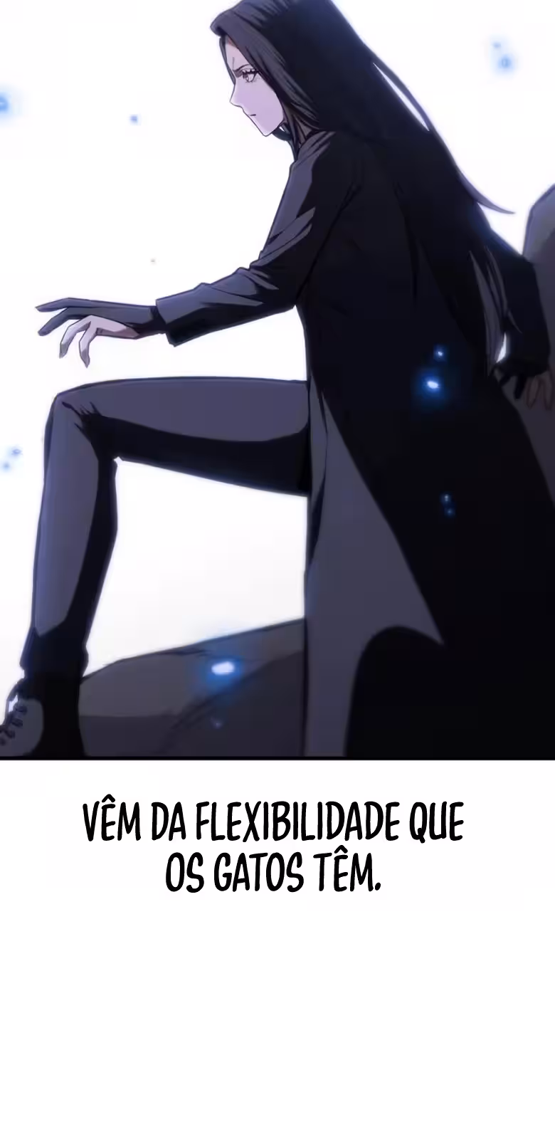 Página do Capítulo 11