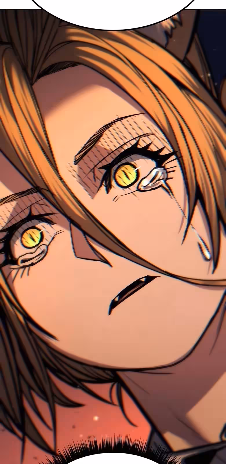 Página do Capítulo 17