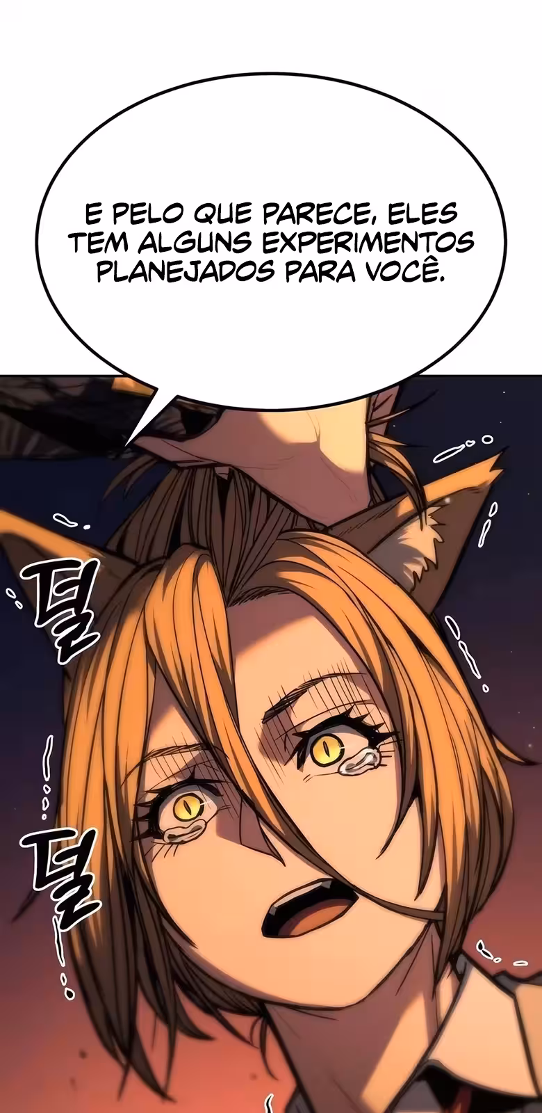 Página do Capítulo 17