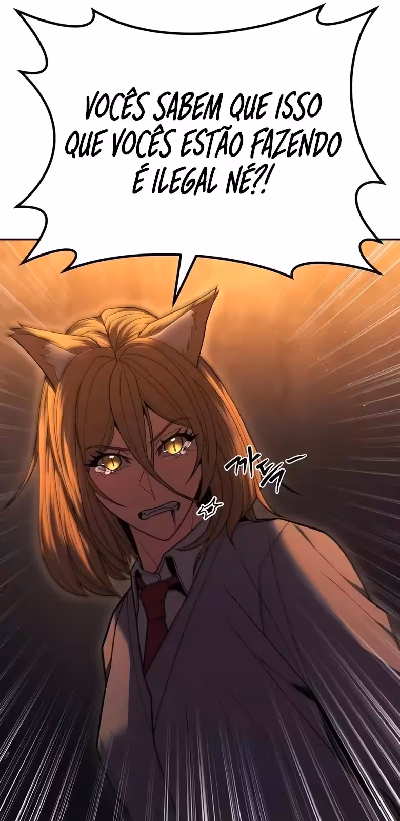 Página do Capítulo 17