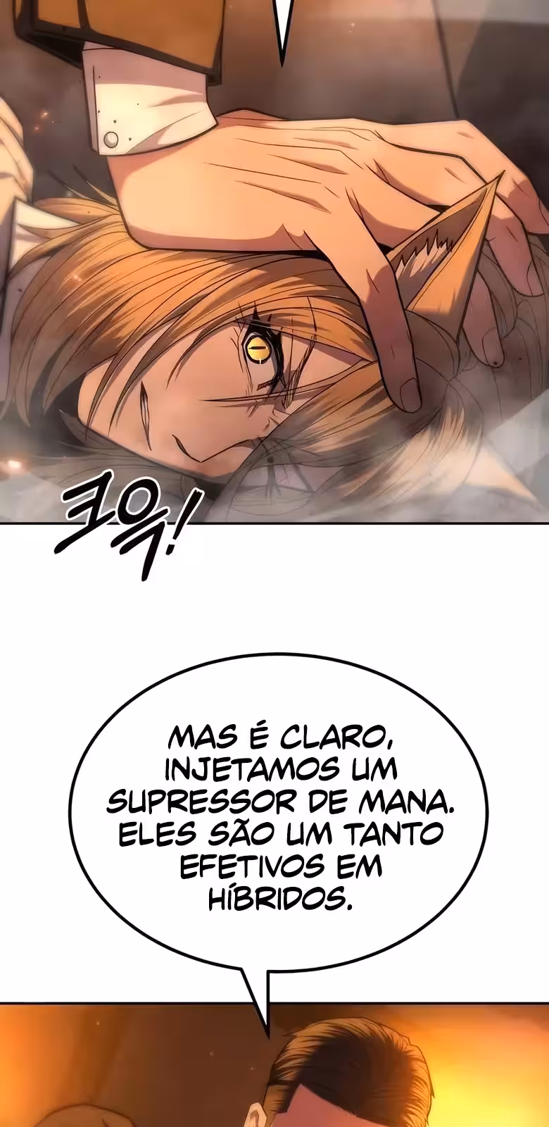 Página do Capítulo 17