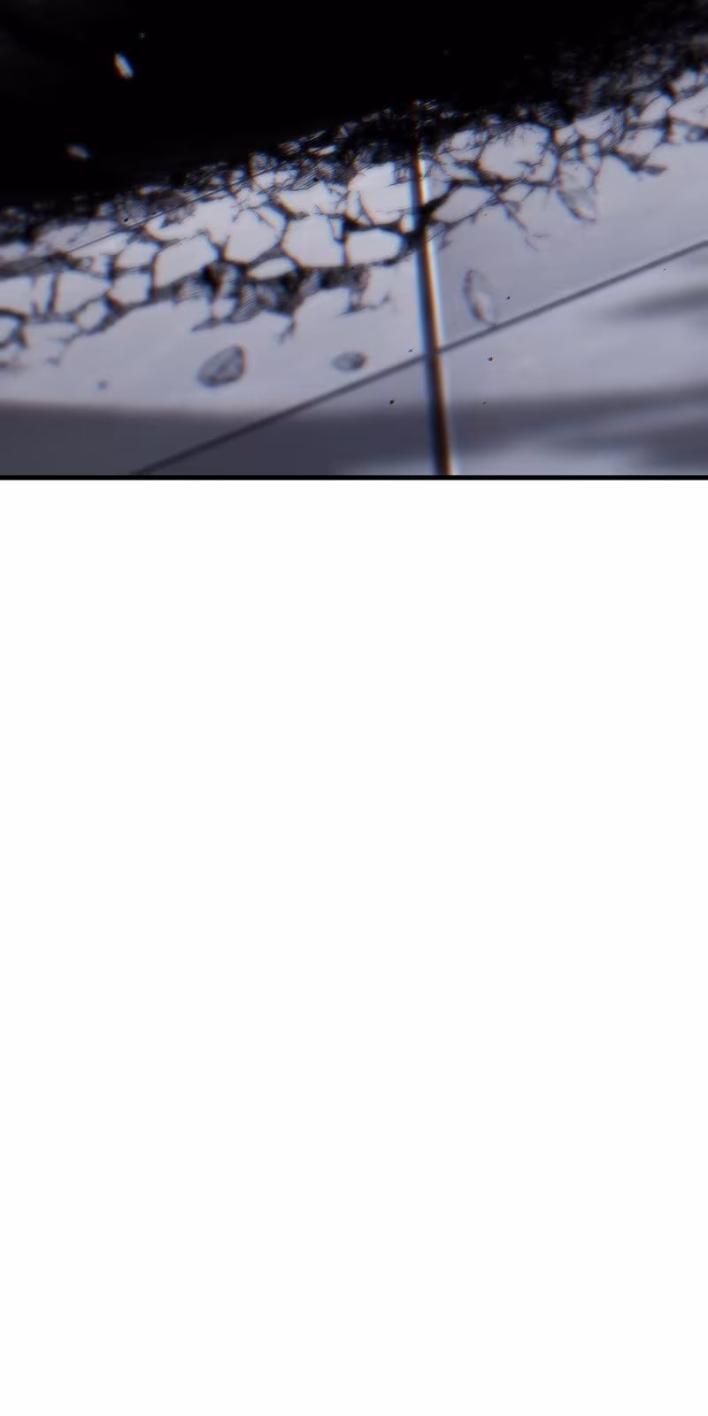 Página do Capítulo 55