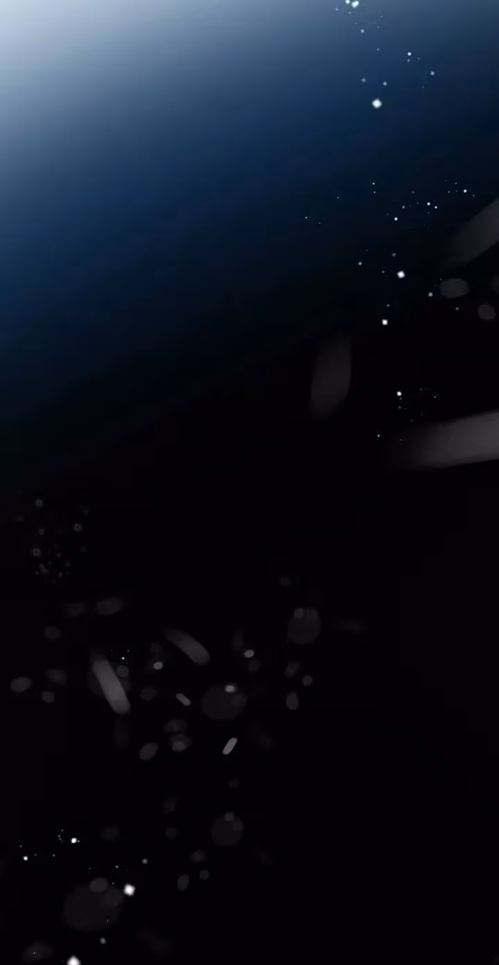 Página do Capítulo 07