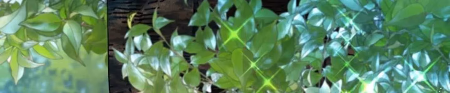 Página do Capítulo 07