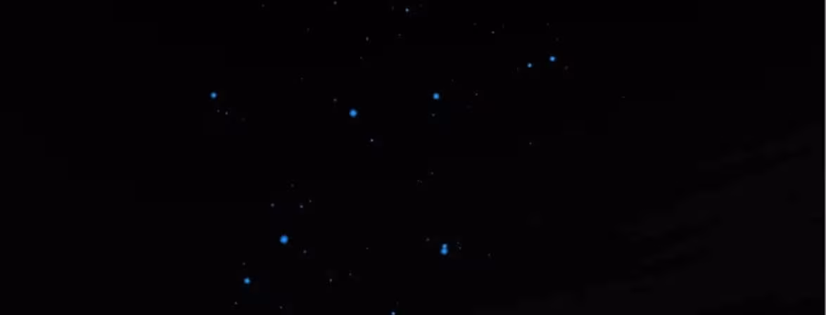 Página do Capítulo 16