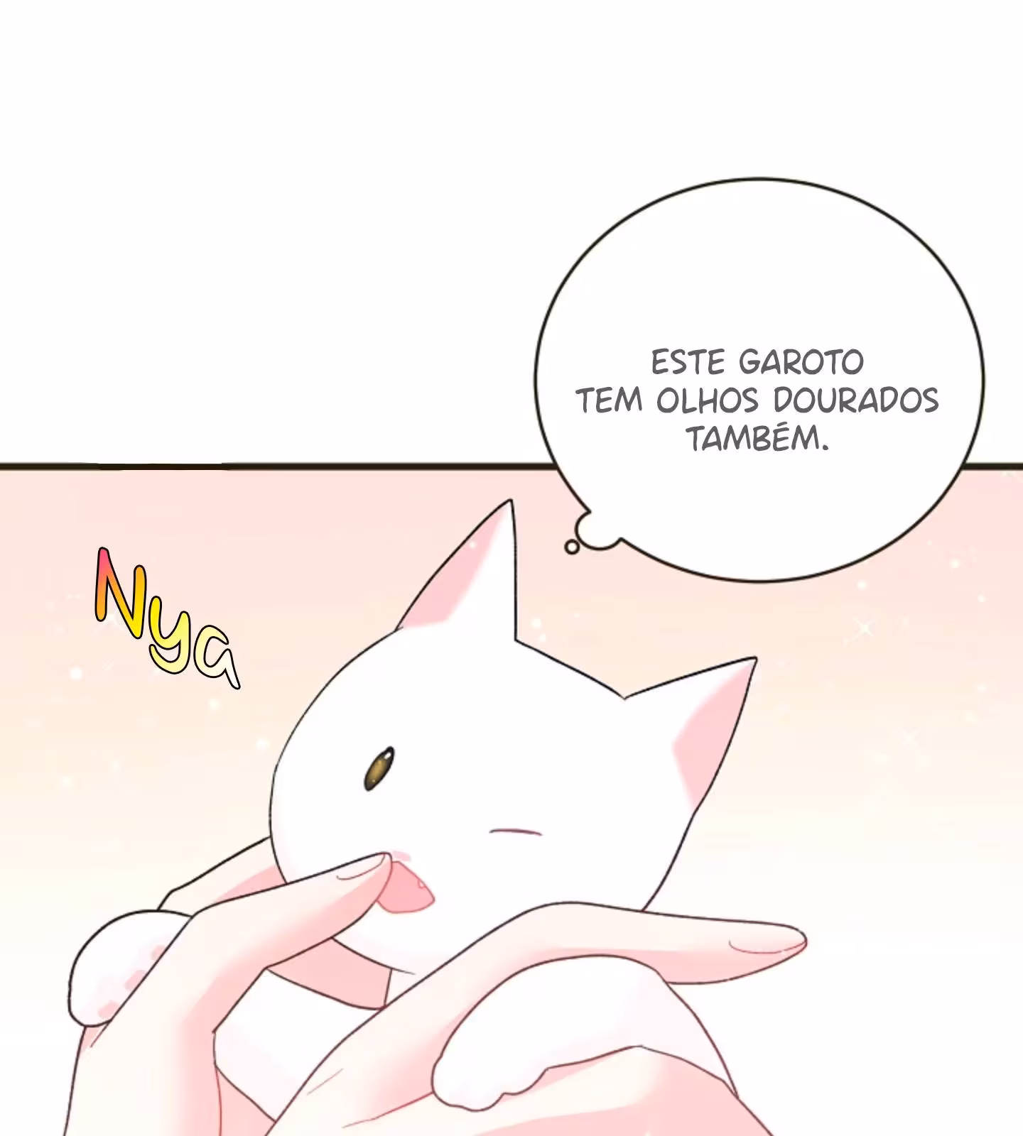 Página do Capítulo 17