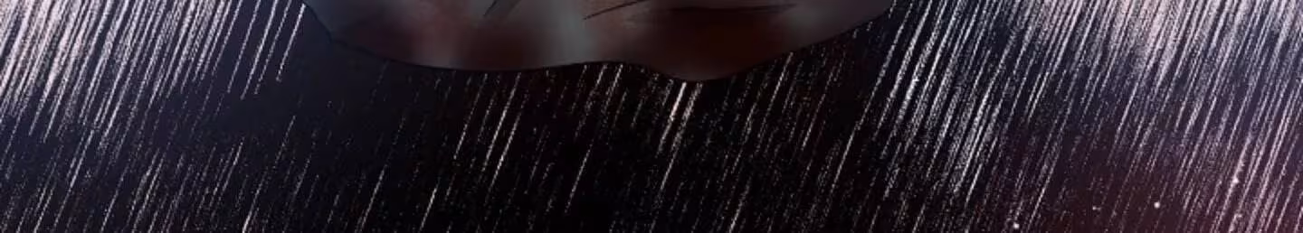 Página do Capítulo 13