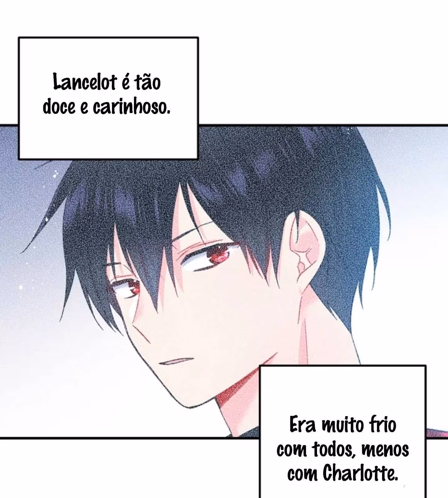 Página do Capítulo 13